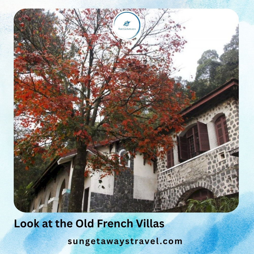 Look at the Old French Villas