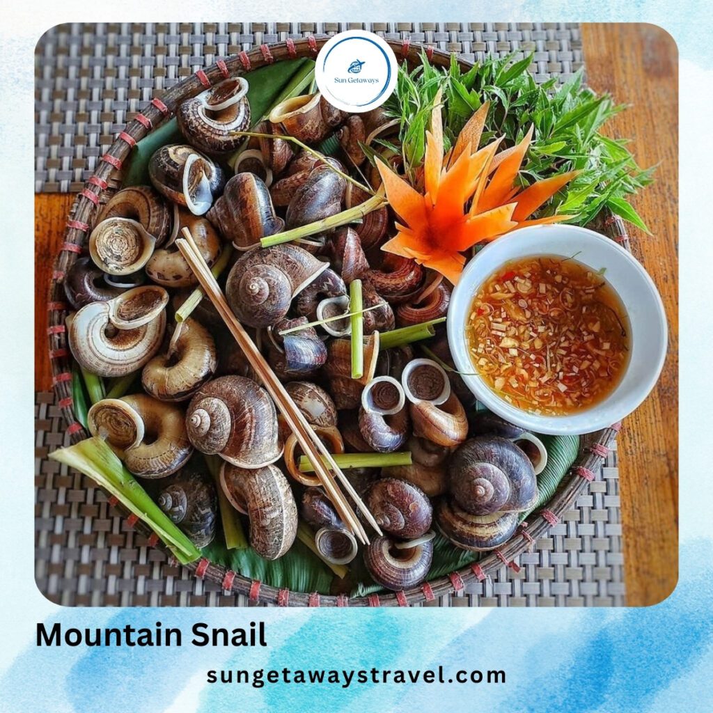 Mountain Snail