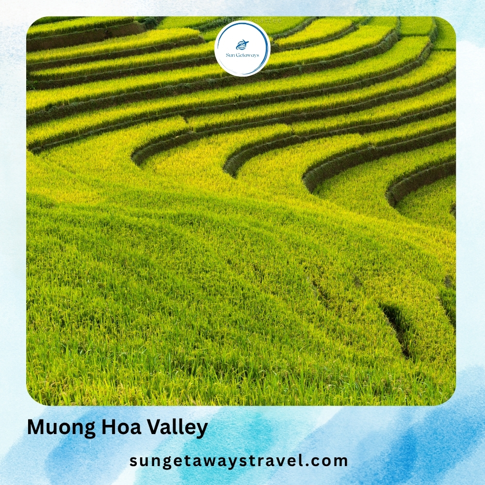 Muong Hoa Valley