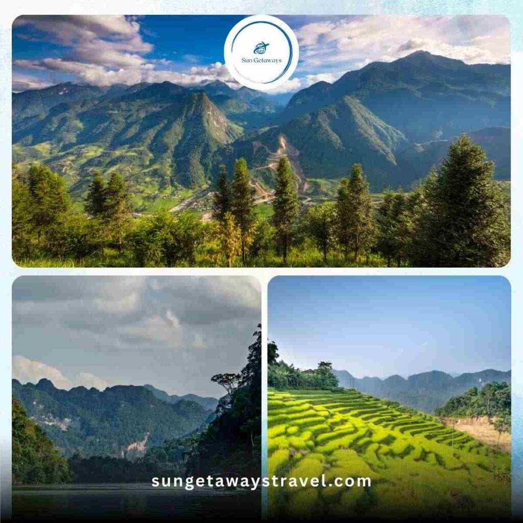 North Vietnam Jungles