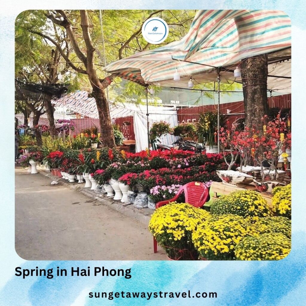 Spring in Hai Phong