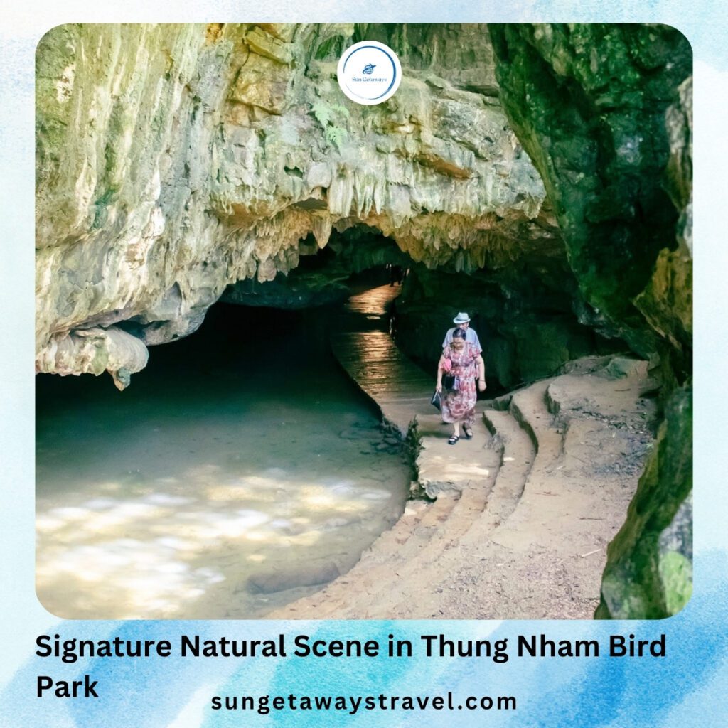 Signature Natural Scene