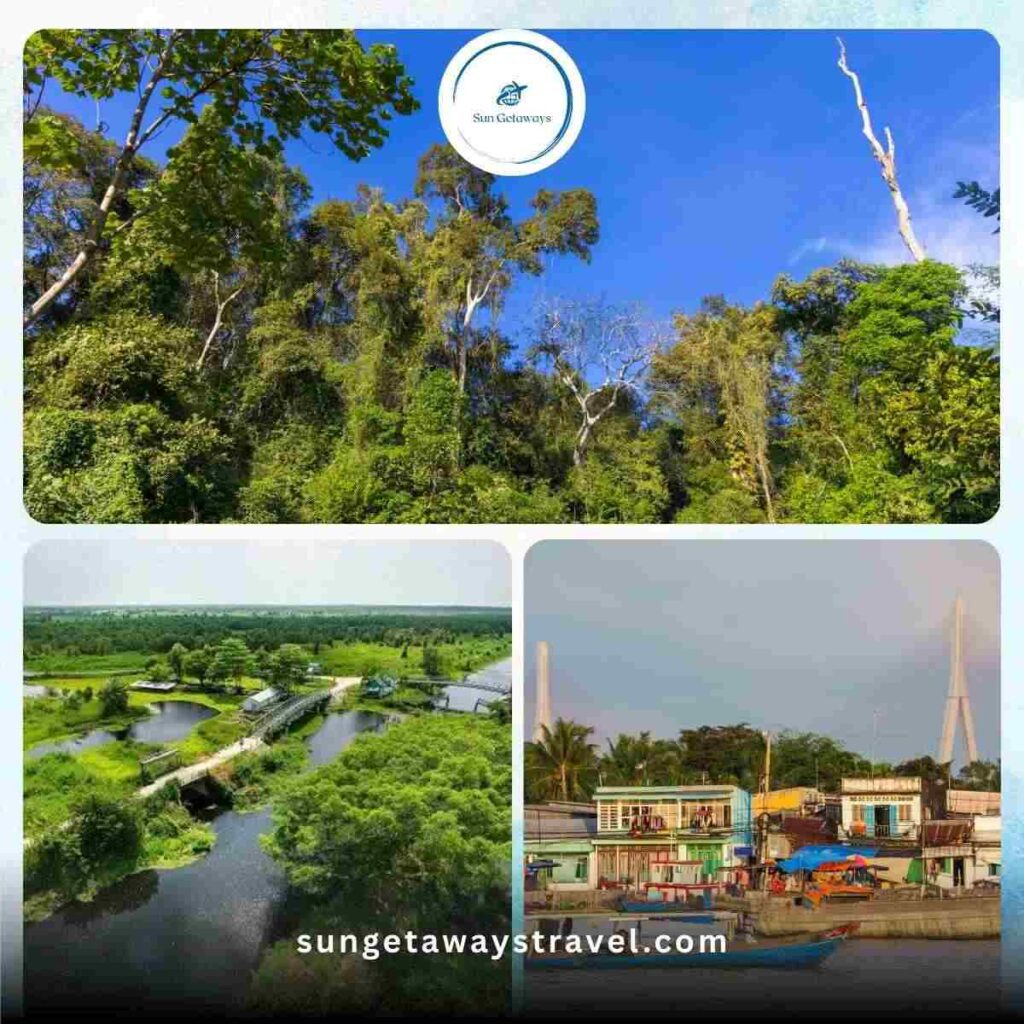 South Vietnam Jungles