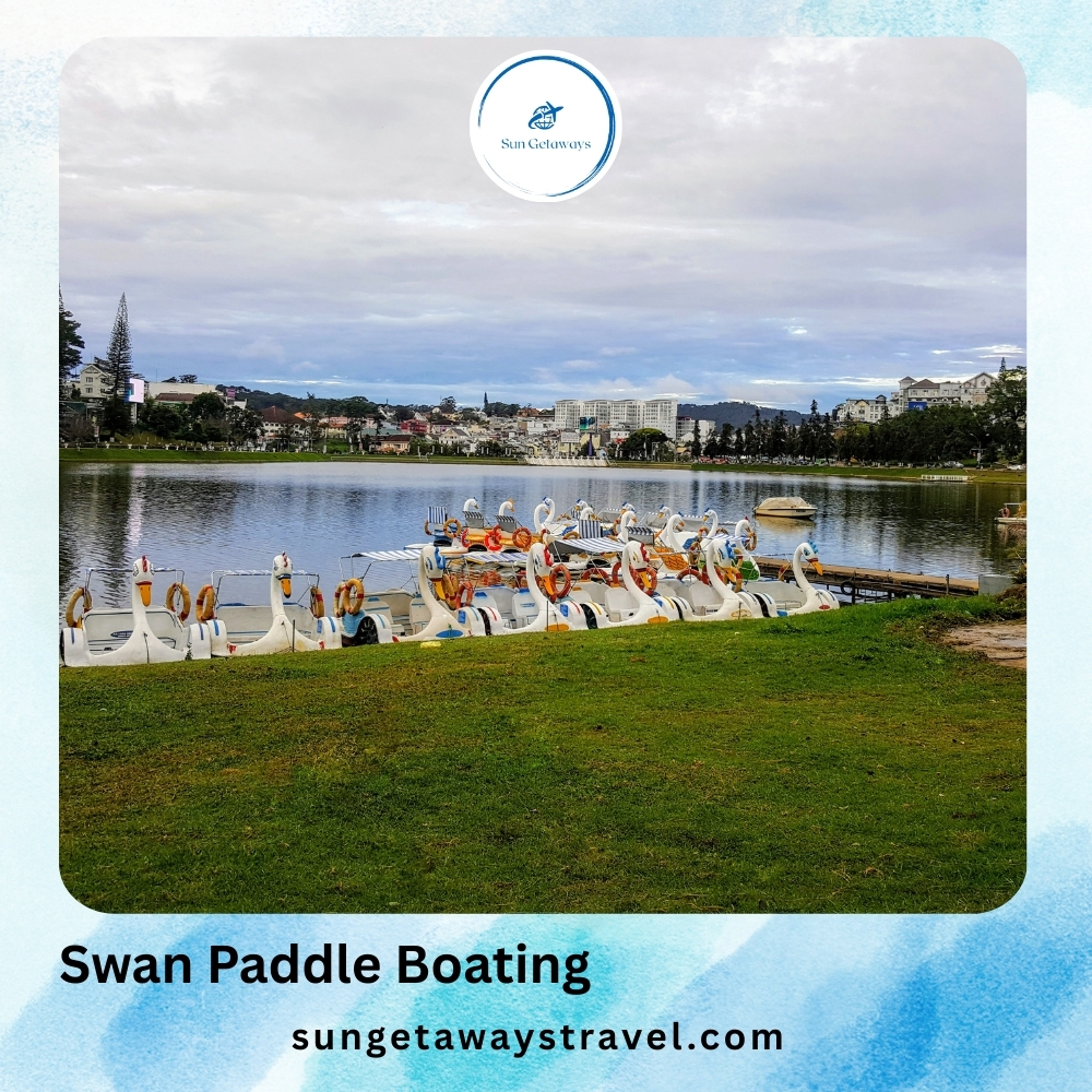 Swan Paddle Boating