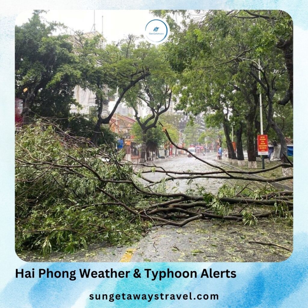 Weather & typhoon Alerts