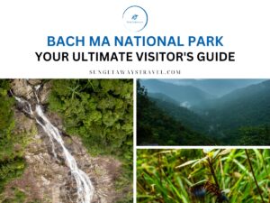 Bach Ma National Park