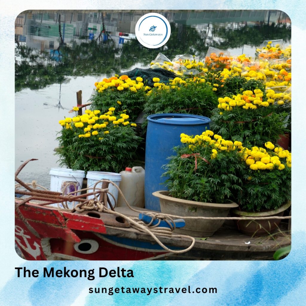 The Mekong Delta