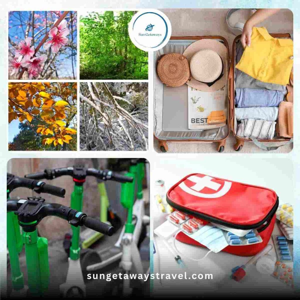 Travel Tips for Vietnam Jungles