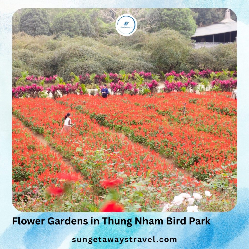 Vegetation, Flower Gardens & Orchards