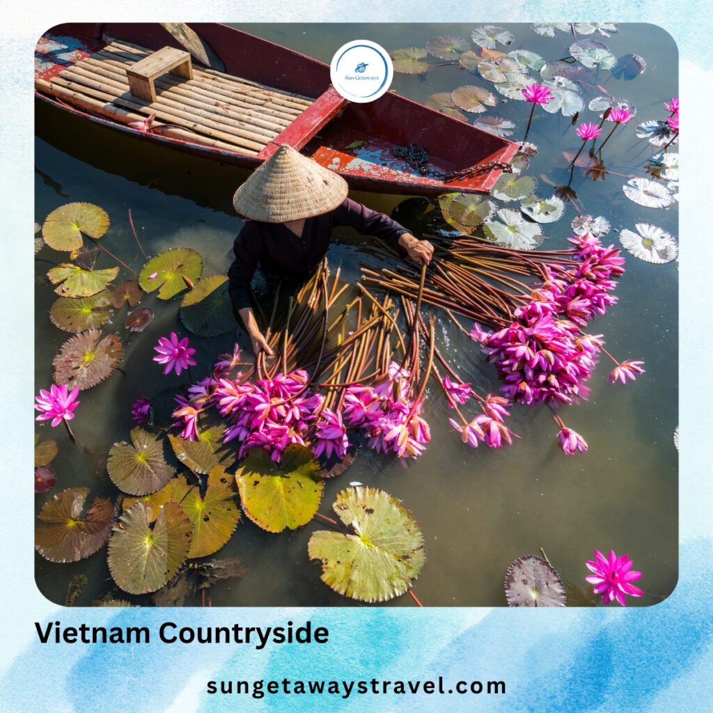 Vietnam Countryside - village life in Vietnam