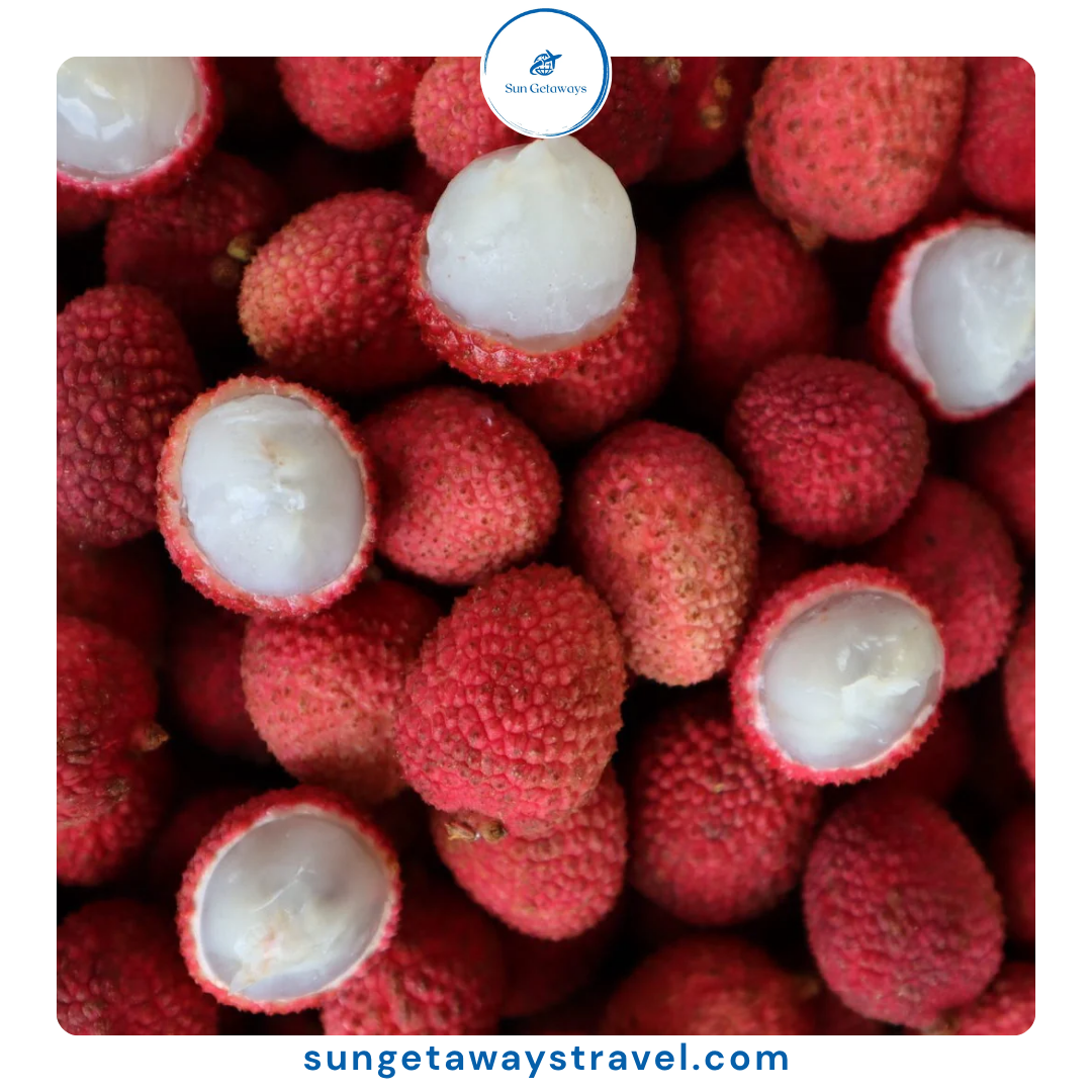 Vietnamese Fruits: A Colorful Guide to Tropical Delights
