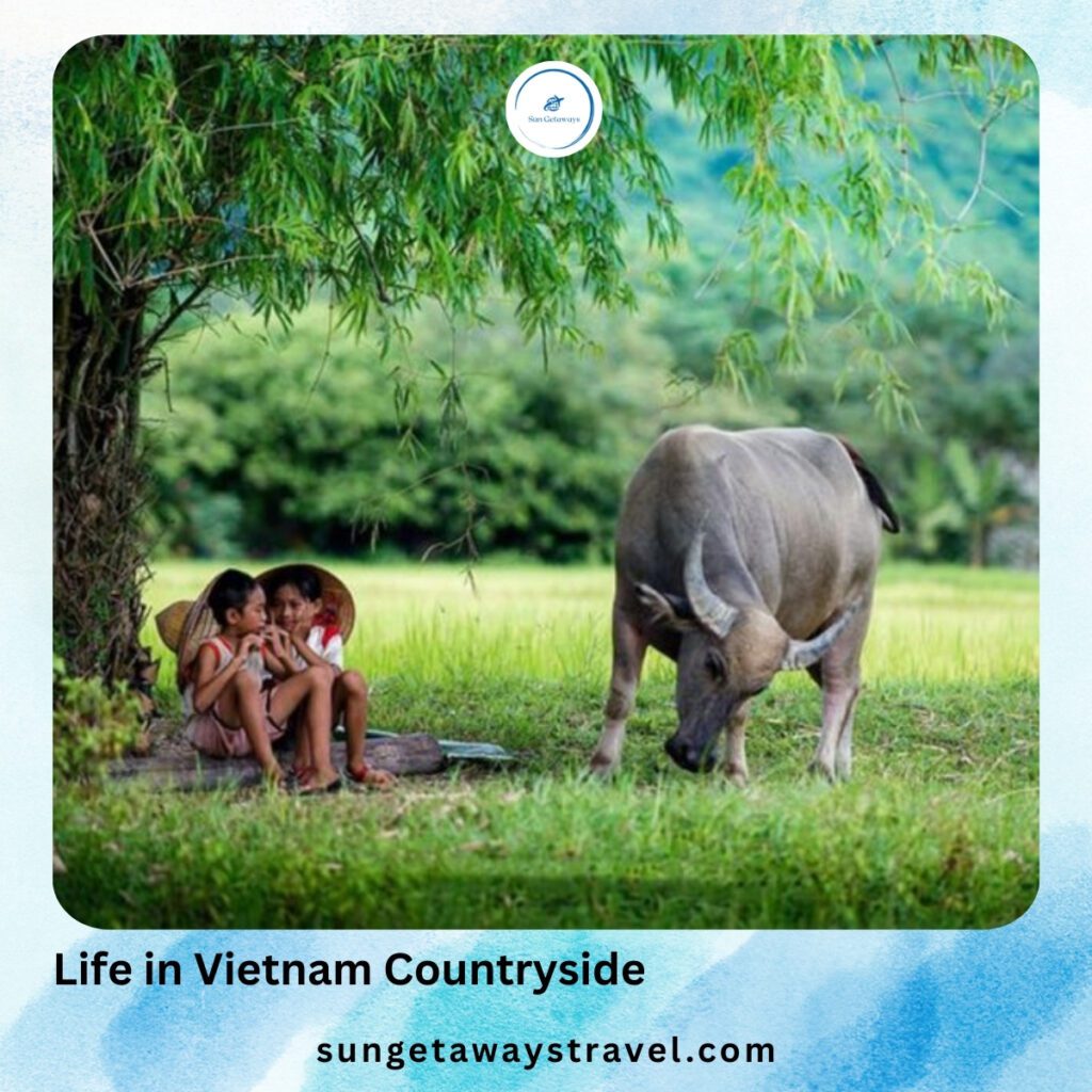 village life in Vietnam