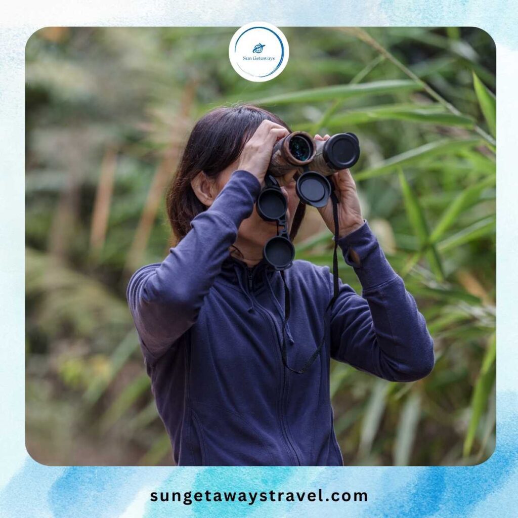 Wildlife Photography and Birdwatching