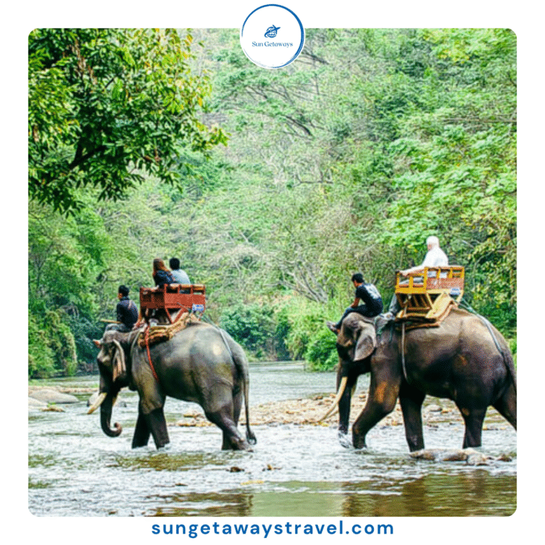 Exploring Yok Don National Park Vietnam: What to See and Do