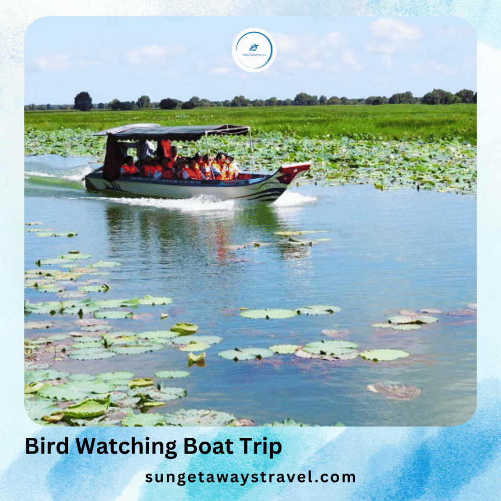 Bird Watching Boat Trip