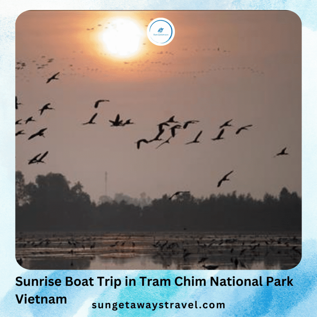 Sunrise Boat Trip in Tram Chim national Park vietNam