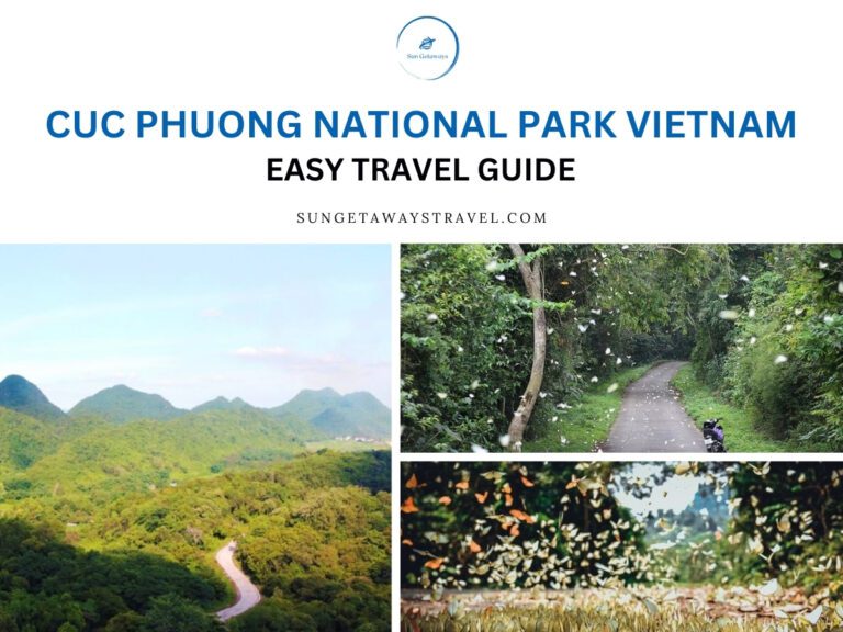 Cuc Phuong National Park Vietnam: Easy Travel Guide