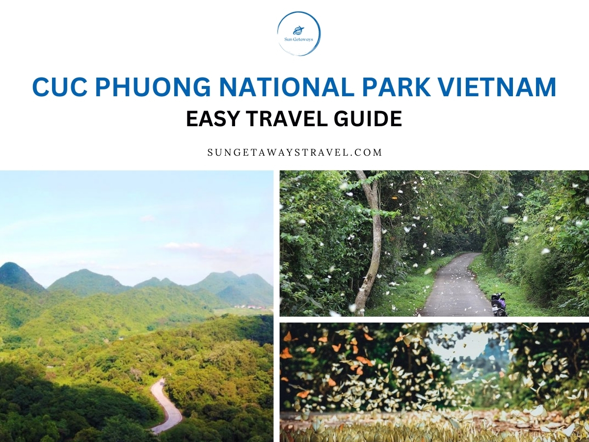 Cuc Phuong National Park Vietnam: Easy Travel Guide