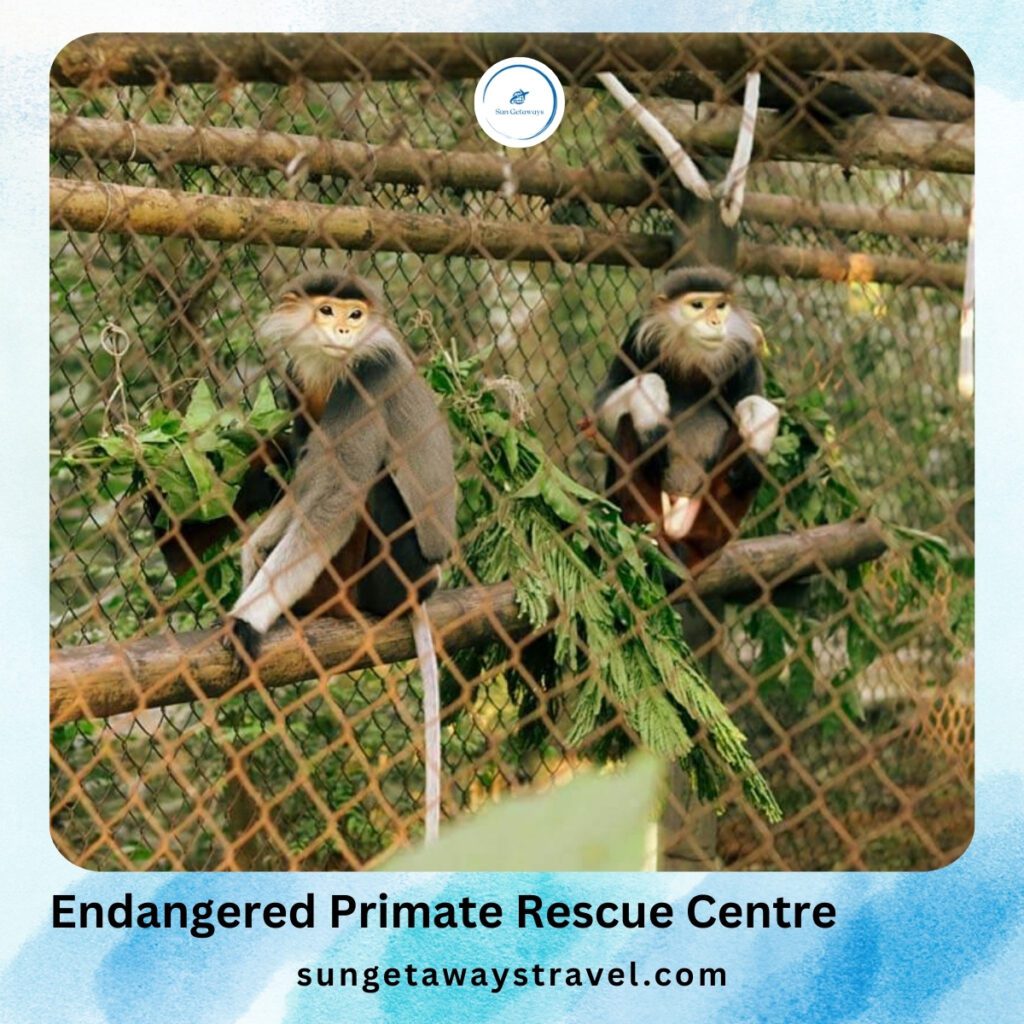 Endangered Primate Rescue Centre