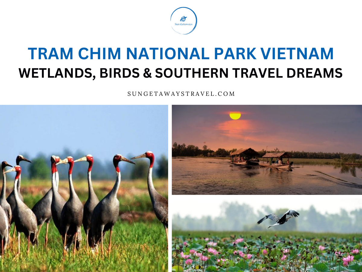 Tram Chim National Park Vietnam: Wetlands, Birds & Southern Travel Dreams