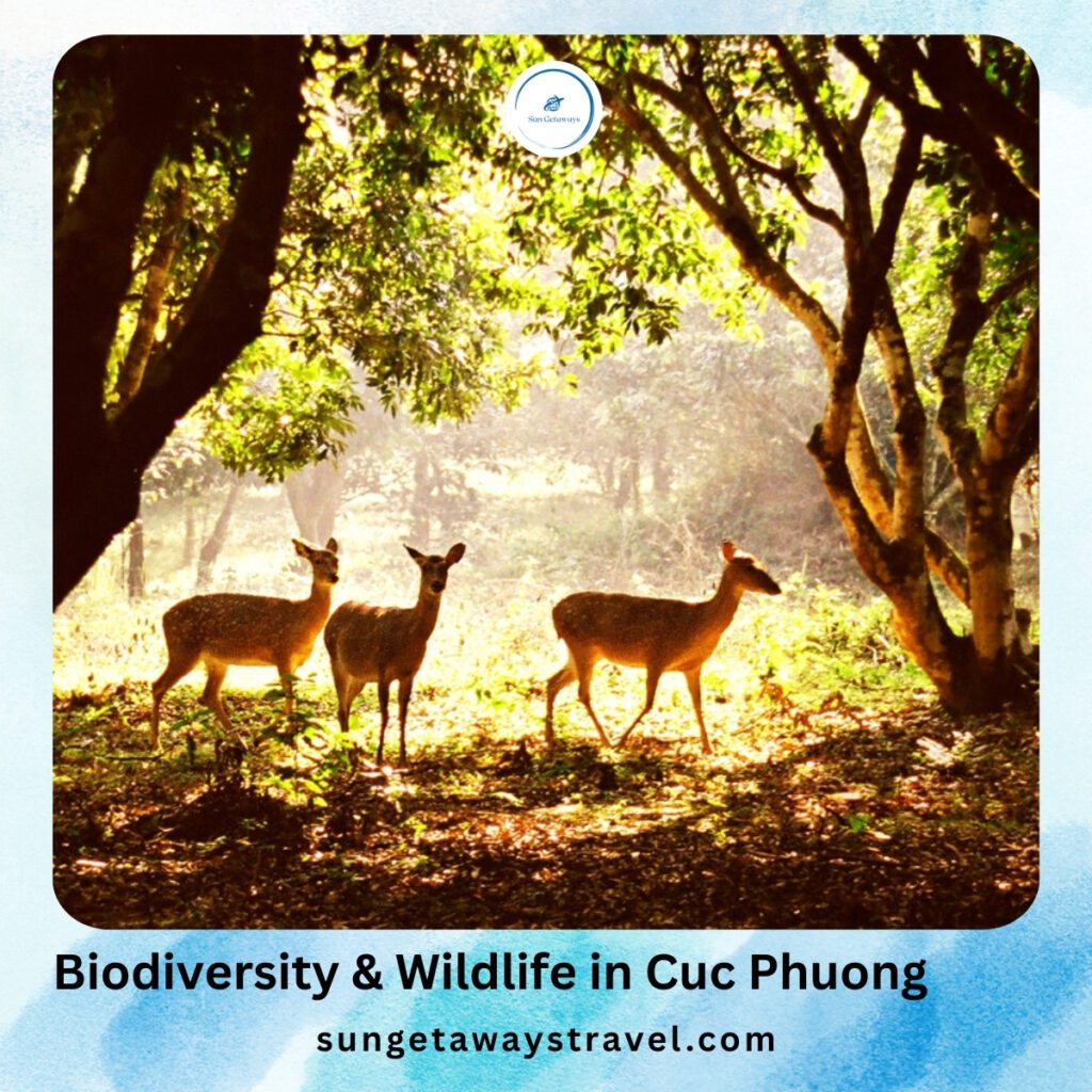 Biodiversity & Wildlife in Cuc Phuong