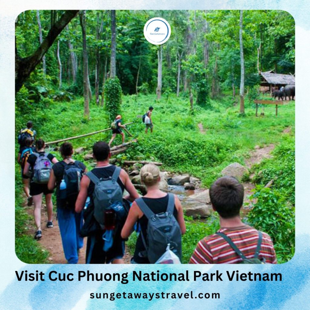 VIsit Cuc Phuong National Park Vietnam.
