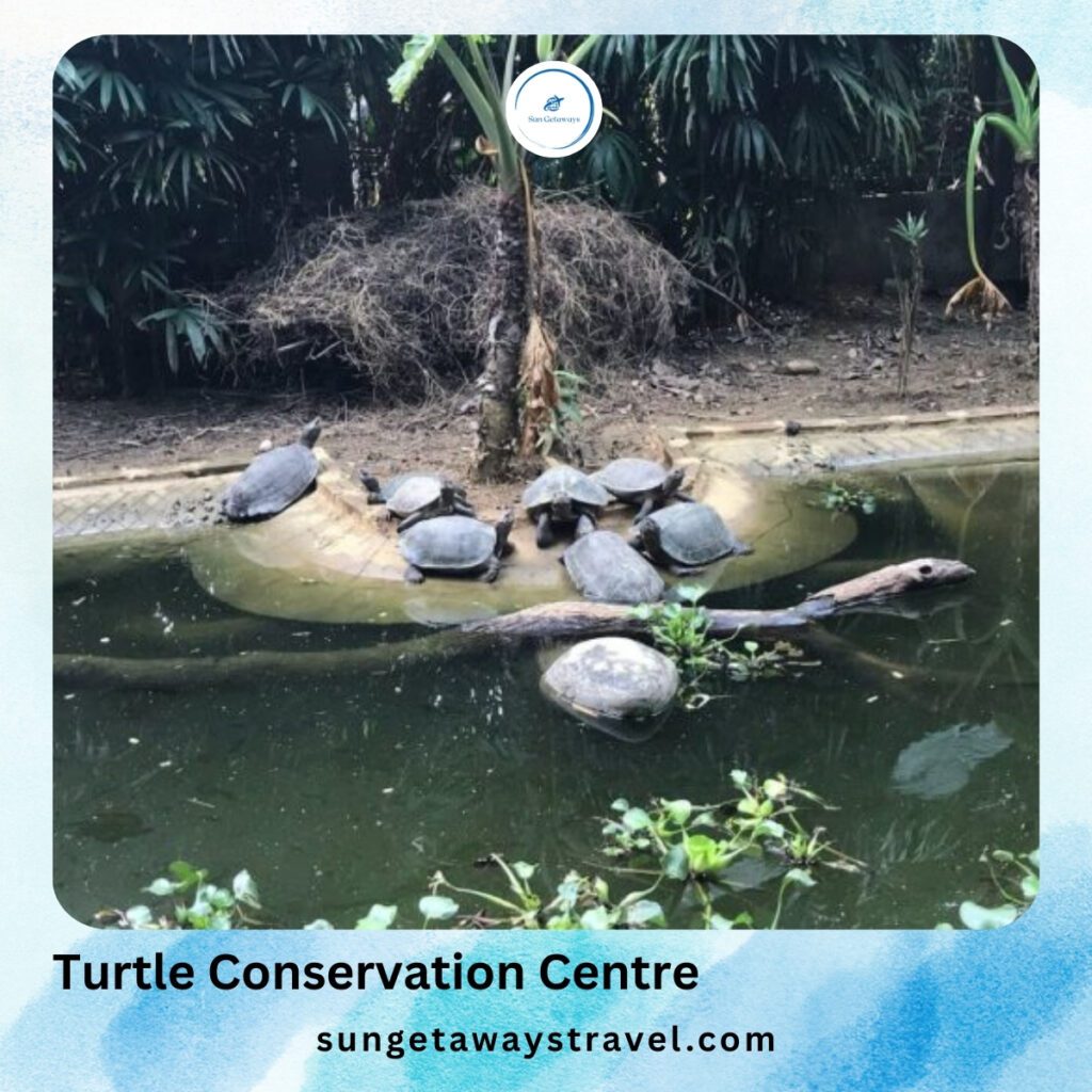 Turtle Conservation Centre in Cuc Phuong