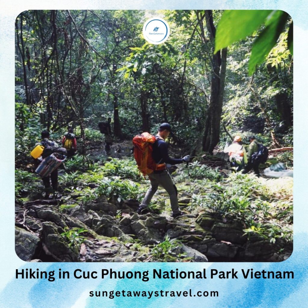 Hiking in Cuc Phuong National Park Viet Nam