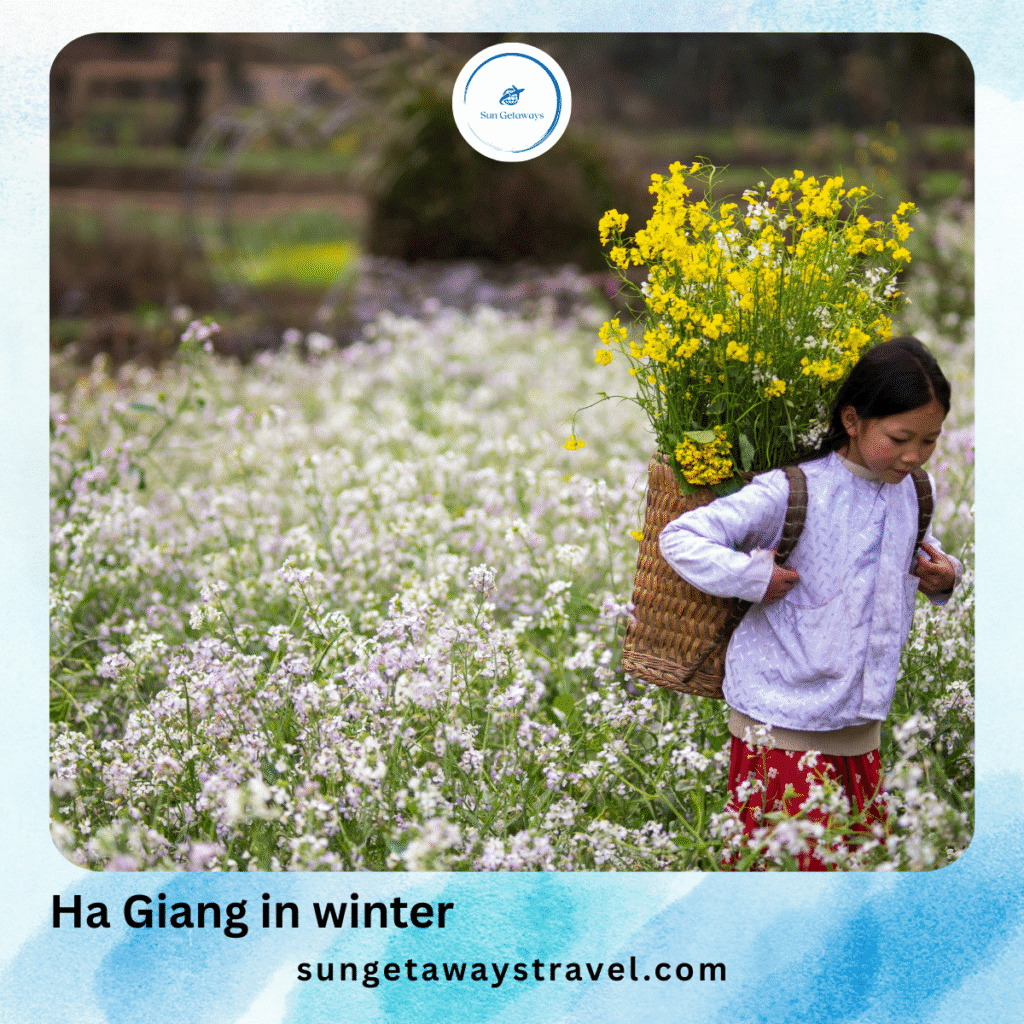 Winter in Vietnam: Ha Giang
