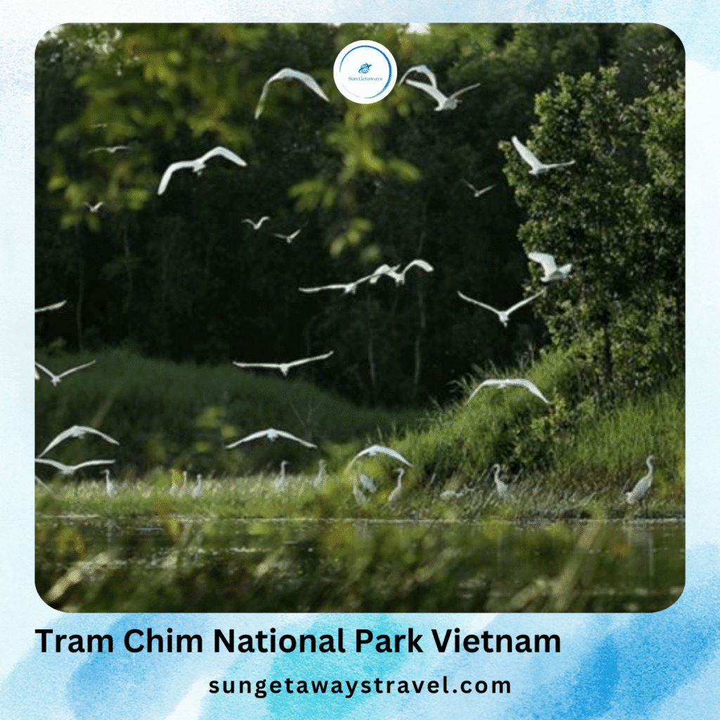 Tram Chim National Park VietNam