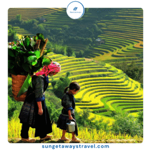Rice Terraces in Vietnam