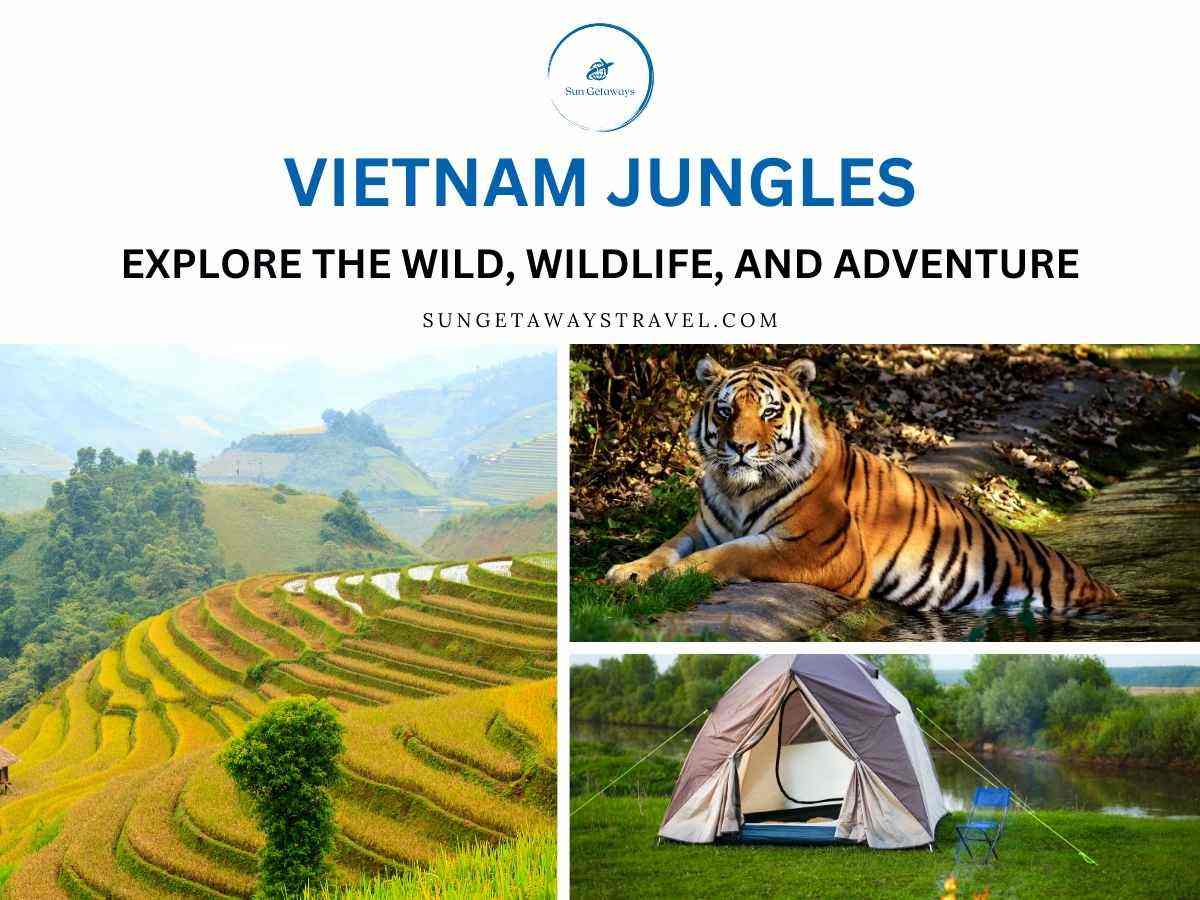 vietnam jungles