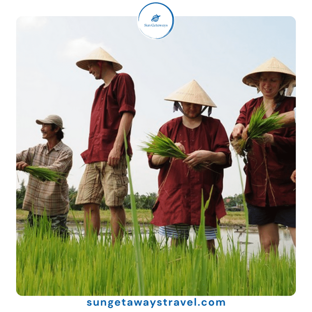 Vietnamese agricultural tourism