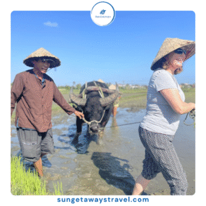 organic farming tours Vietnam