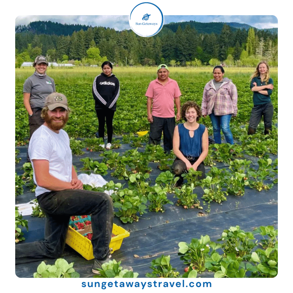 organic farming tours Vietnam