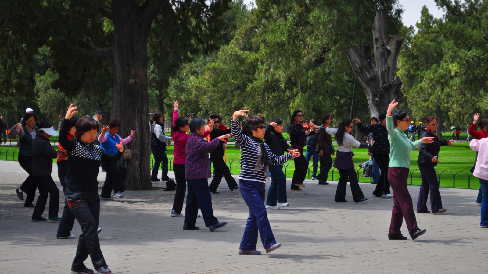 tai chi in vietnam parks