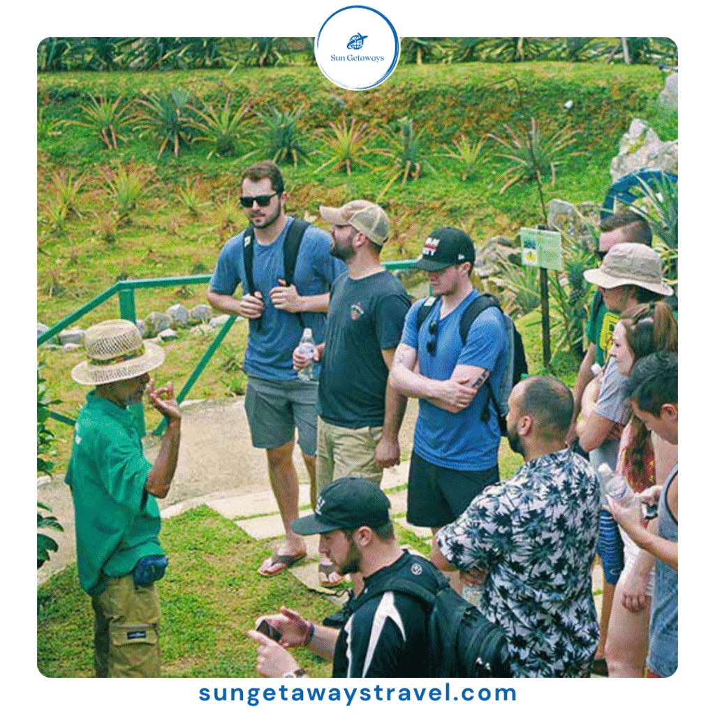 fruit farm tours in Vietnam