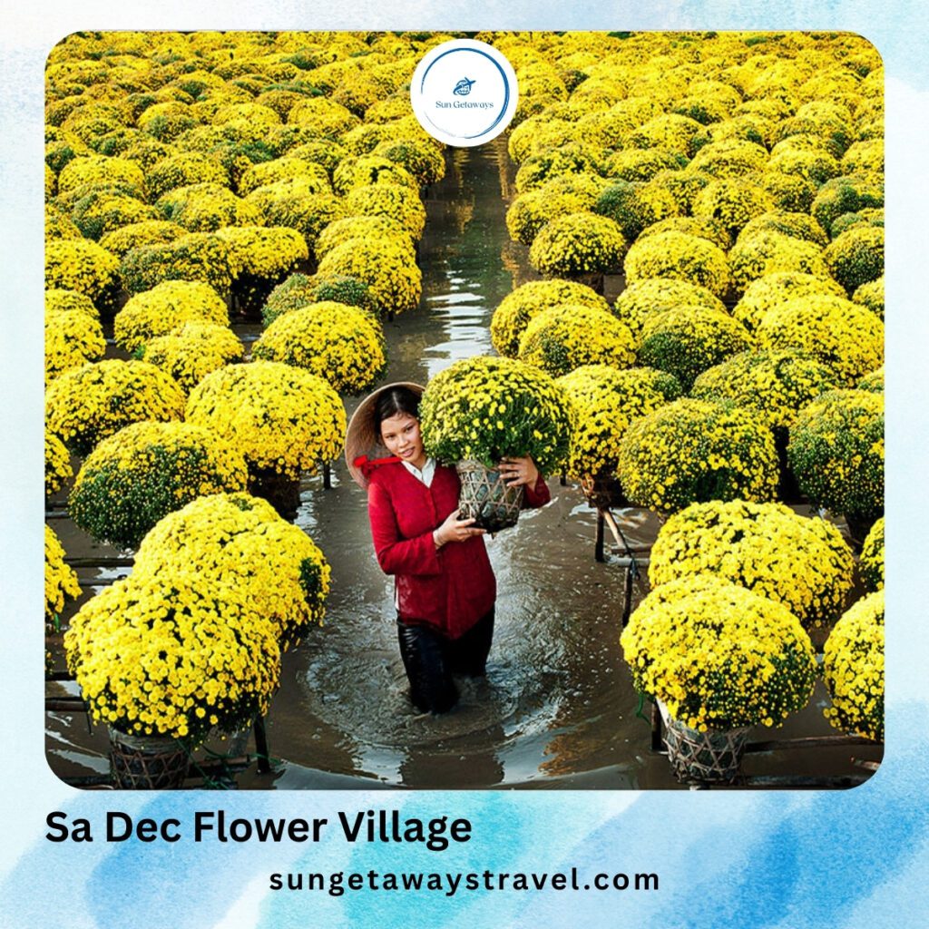 Sa Dec Flower Village