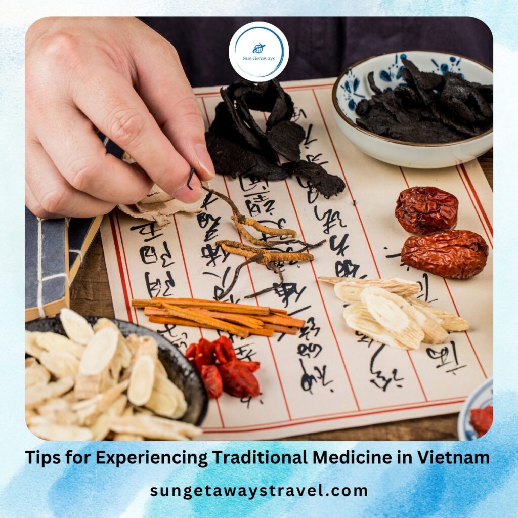 Tips for Experiencing Traditional Medicine in Vietnam