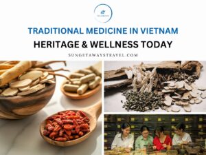 Traditional Medicine in Vietnam – Heritage & Wellness Today