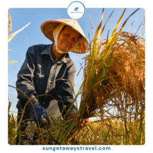 Vietnamese eco farming