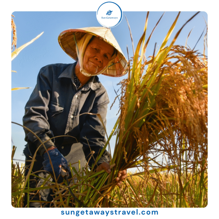 Vietnamese eco farming