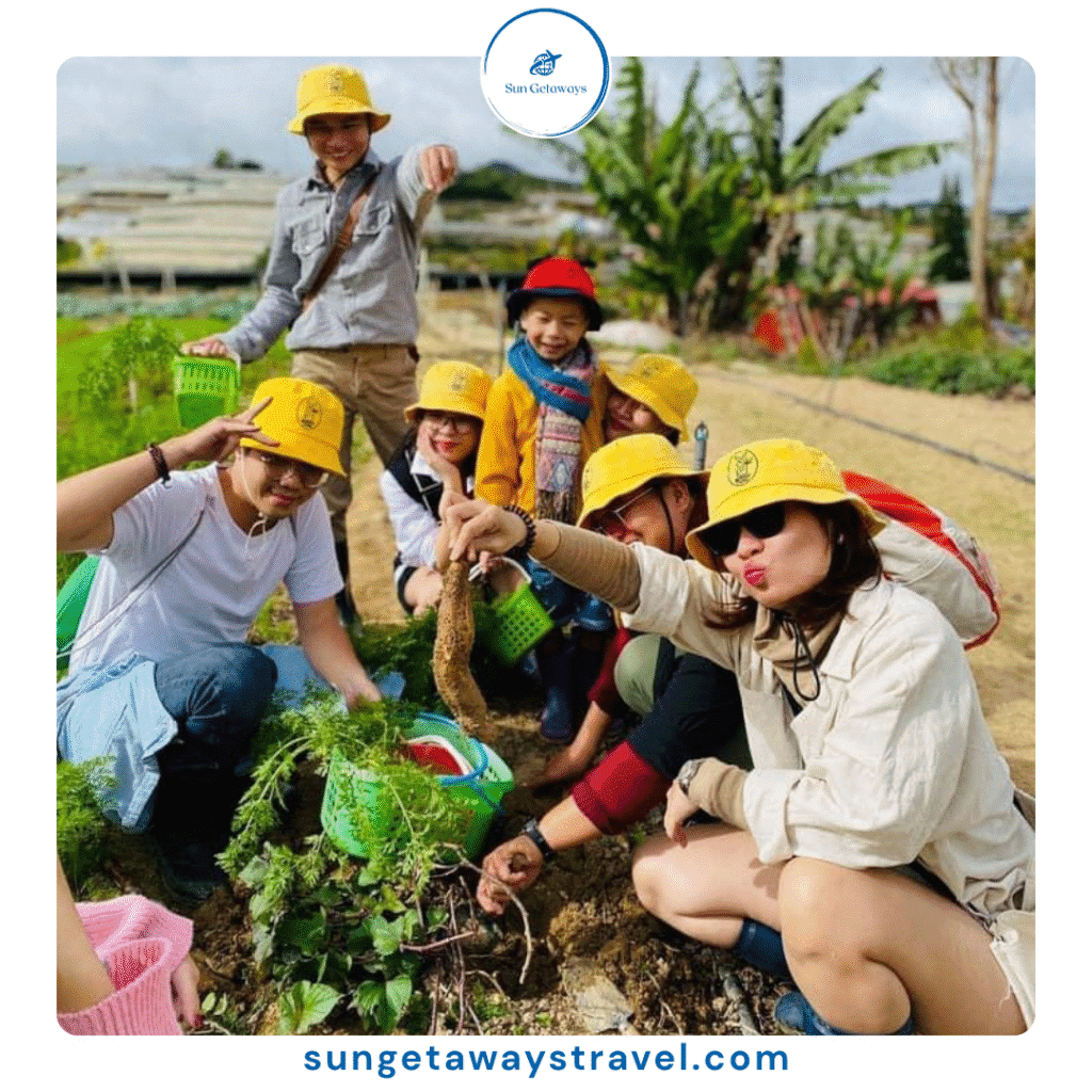volunteering on farms in Vietnam