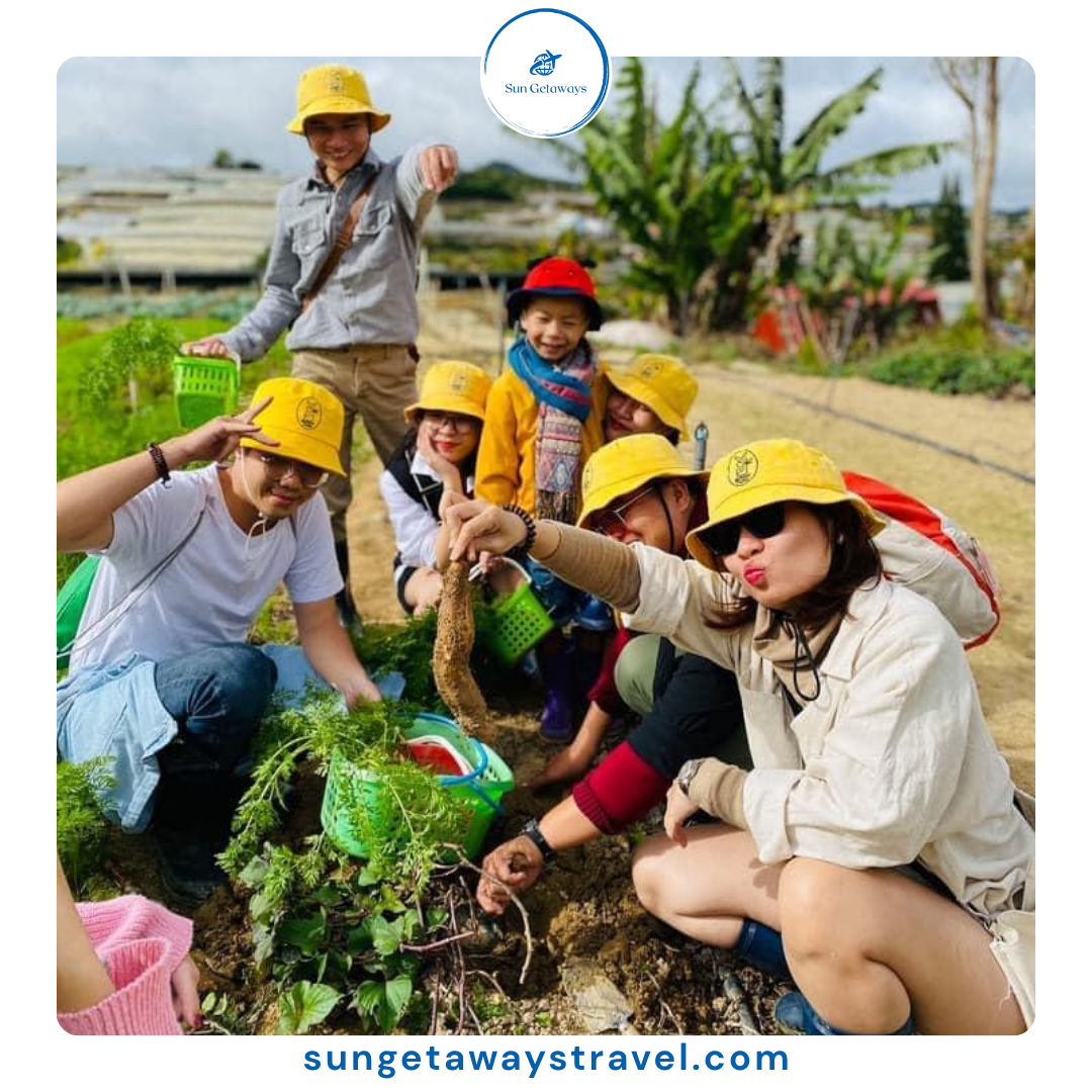 volunteering on farms in Vietnam