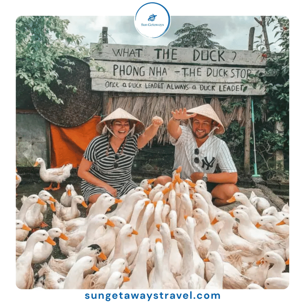 animal farming experience in Vietnam