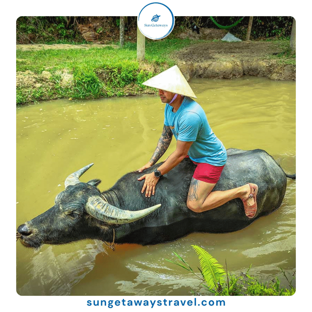 animal farming experience in Vietnam