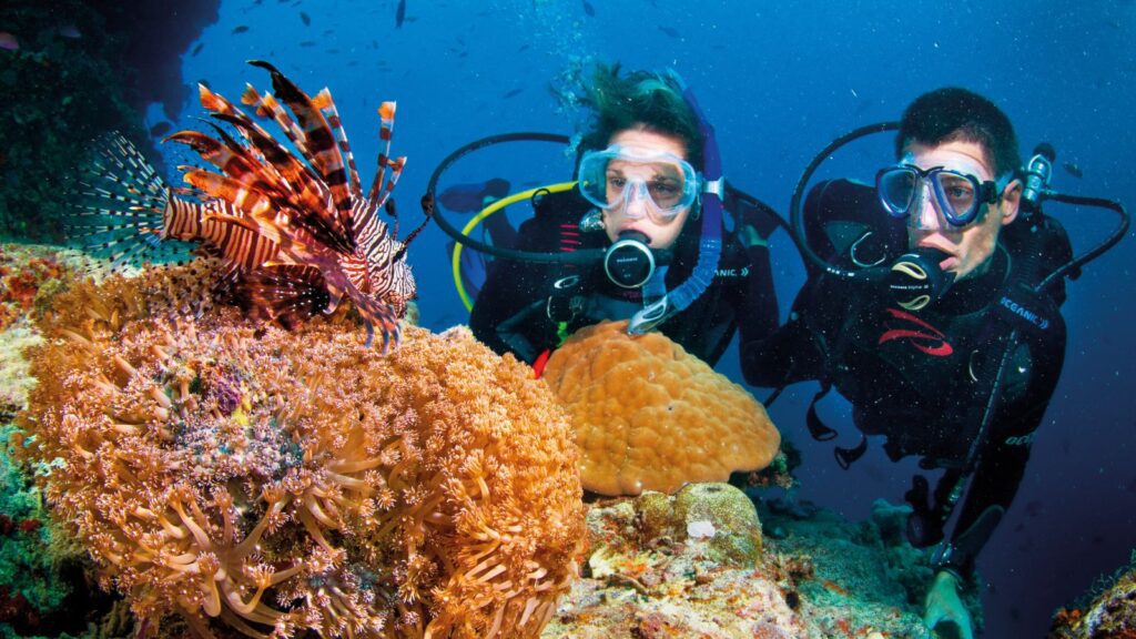 explore the best snorkeling spots in Vietnam