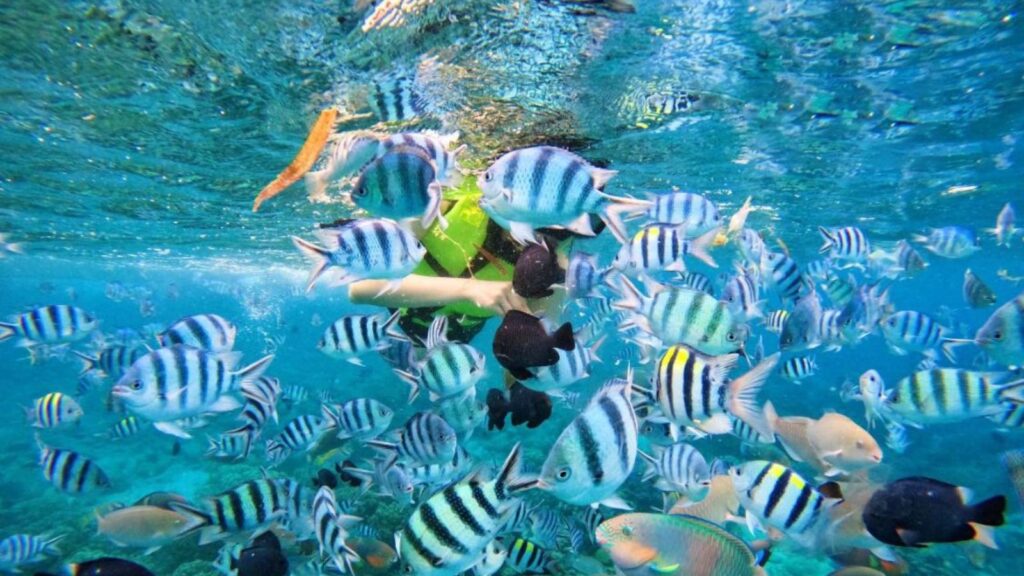 best snorkeling spots in Vietnam Nha Trang