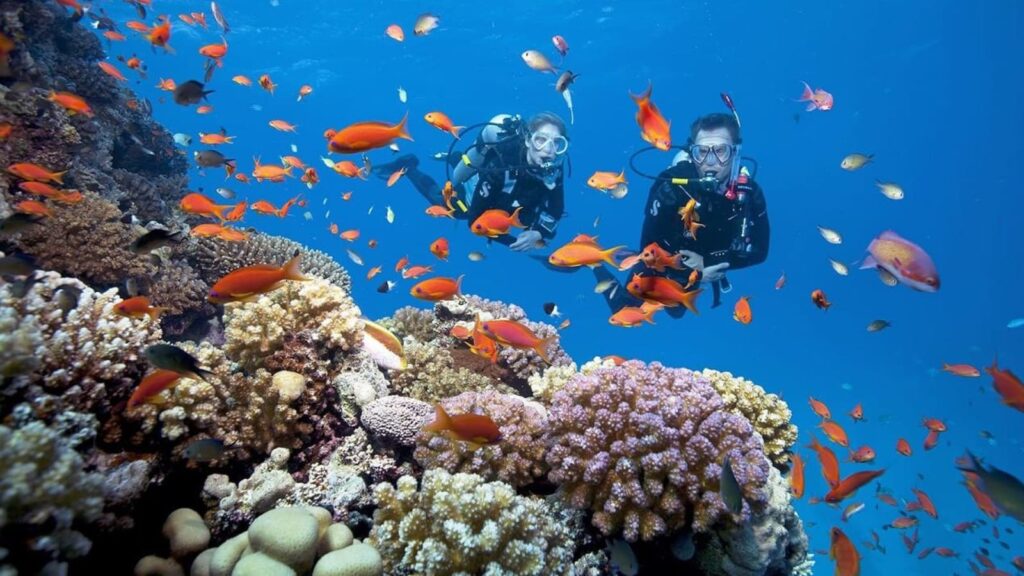 best snorkeling spots in Vietnam Con Son