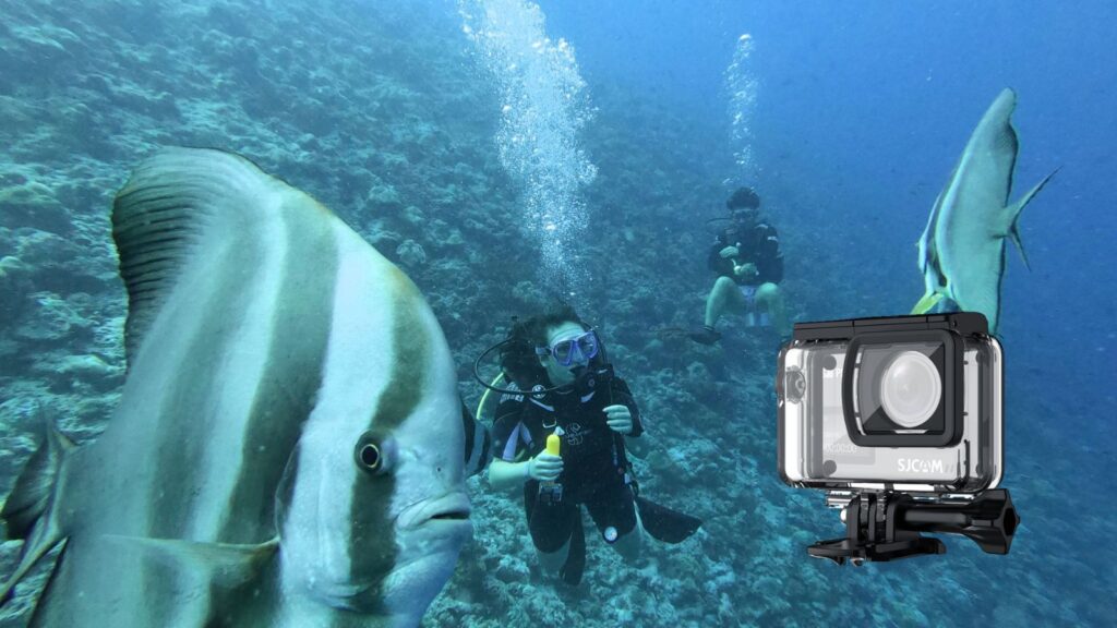 insider tips for snorkeling